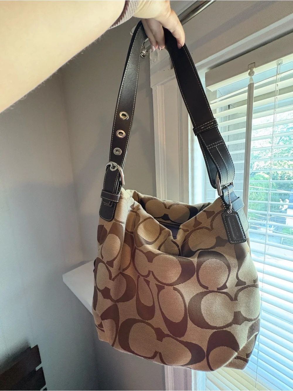 Coach Carly Hobo Bag